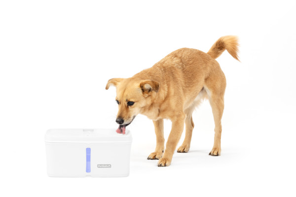 PetSafe Viva Kisállat Önitató 4.1 literes