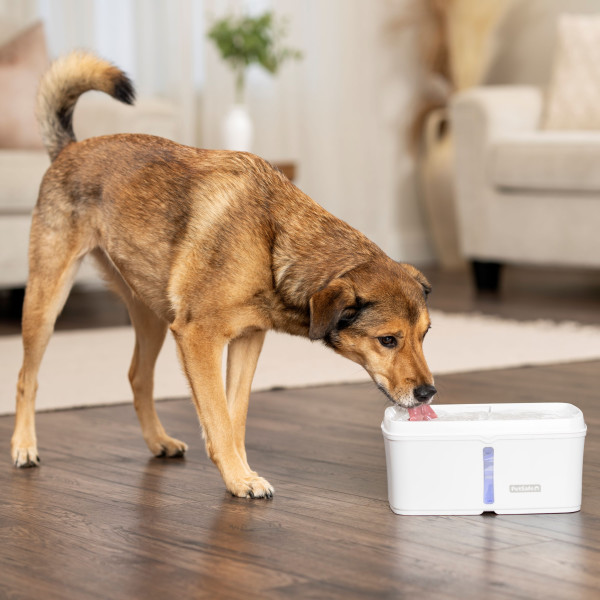 PetSafe® Foam Filters for Pet Fountains, 2-pack